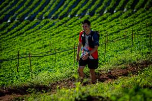 BIB: 
                            <button type="button" onclick="openModal(19160778)" class="btn btn-primary btn-sm float-right btn-popup" data-toggle="modal" data-target=".modal-high-quality">
                        <i class="fas fa-shopping-cart"></i> Add to Cart
                    </button>
                                            <button type="button" onclick="isThisMe(19160778, true)" class="btn btn-success btn-sm float-right btn-popup btn-isme hidden" data-toggle="tooltip" data-placement="bottom" title="นี่คือรูปของคุณใช่ไหม คลิกที่นี่เพื่อเอาเข้าอัลบั้ม">
                        <i class="fas fa-plus"></i> Add to album
                    </button>
                    <button type="button" onclick="isThisMe(19160778, false)" class="btn btn-warning btn-sm float-right btn-popup btn-isnotme hidden">
                        <i class="fas fa-ban"></i> Remove from album
                    </button>